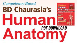 BD Chaurasia Human Anatomy PDF 8th edition