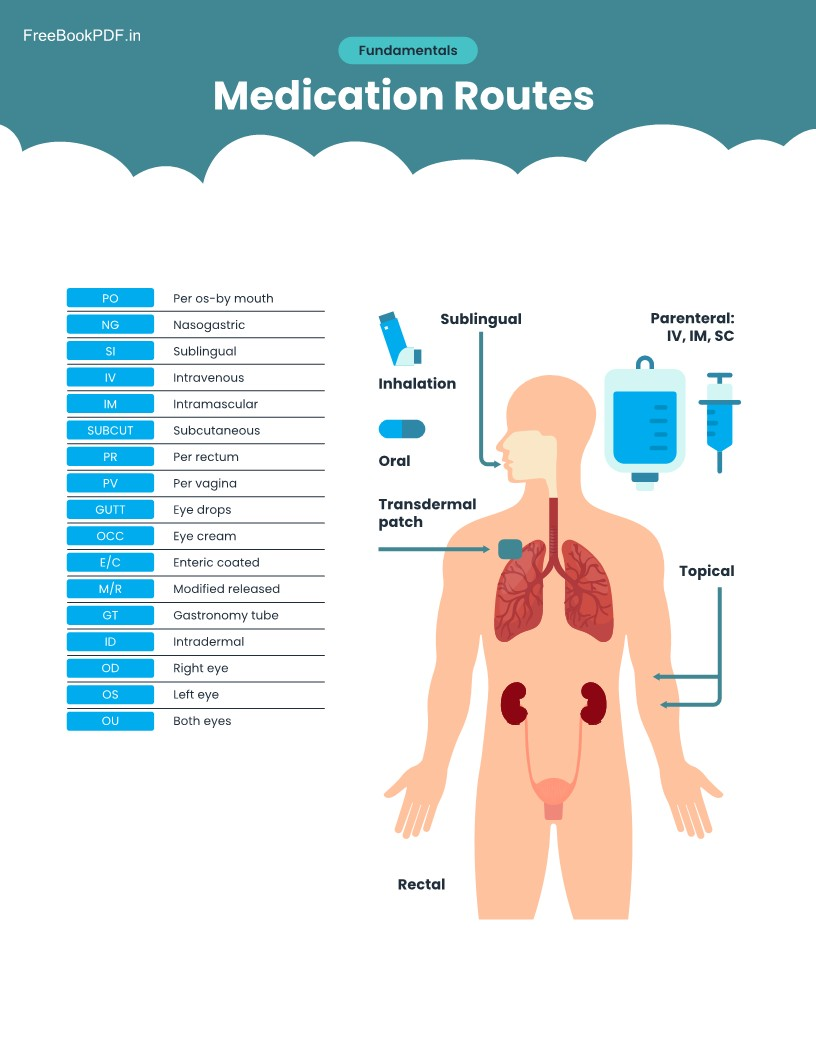 Nursing School Success Bundle 2026