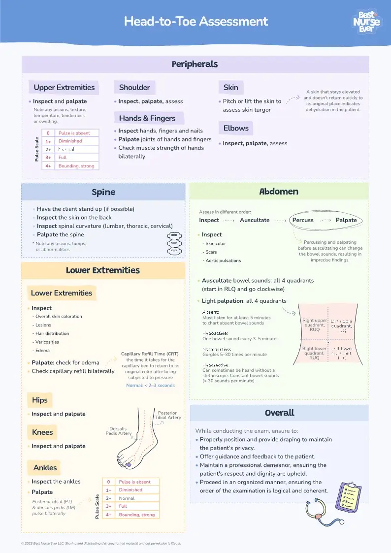 The Complete Nursing Notes Bundle