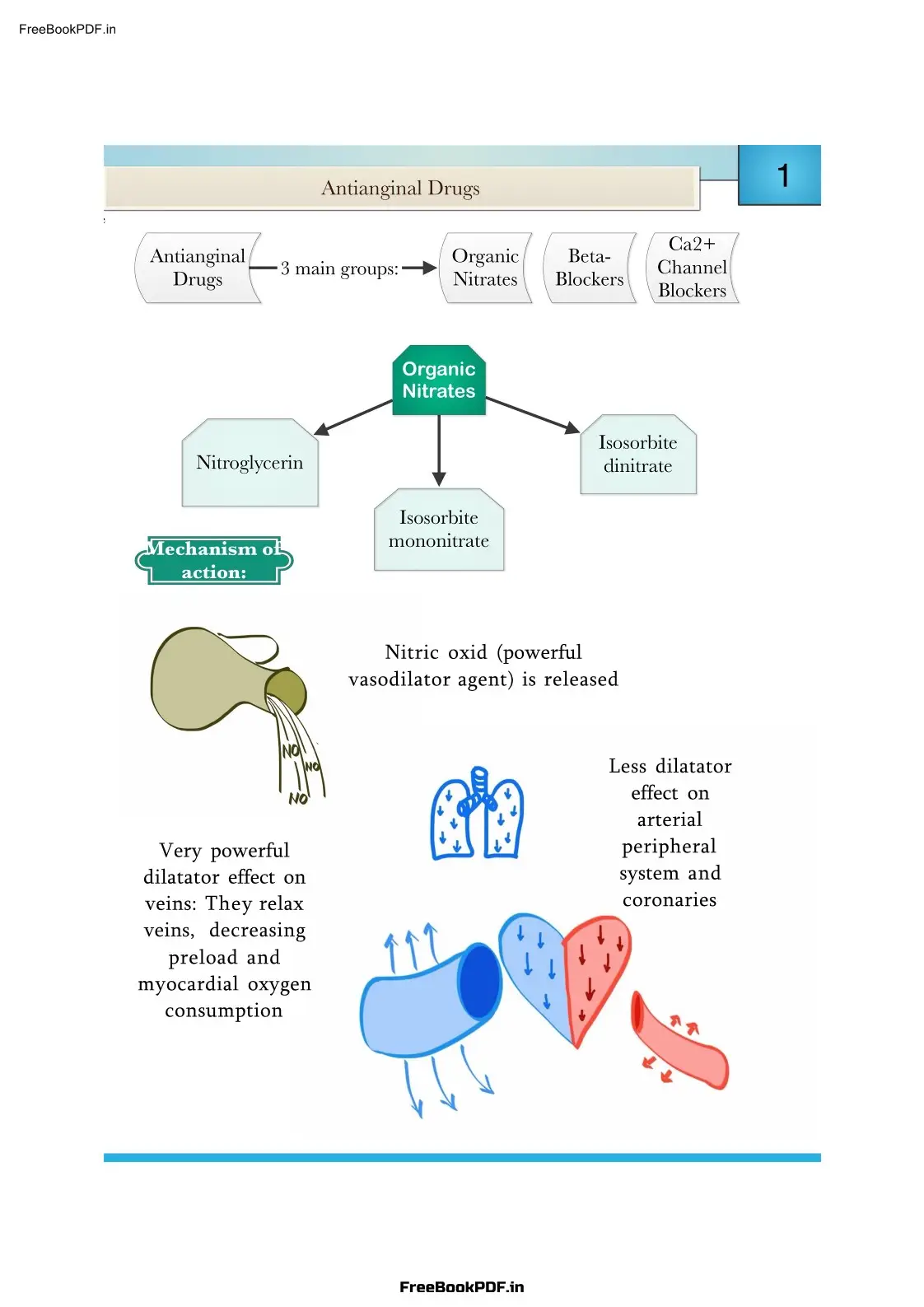 Pharmacology Ultimate Guide 2026