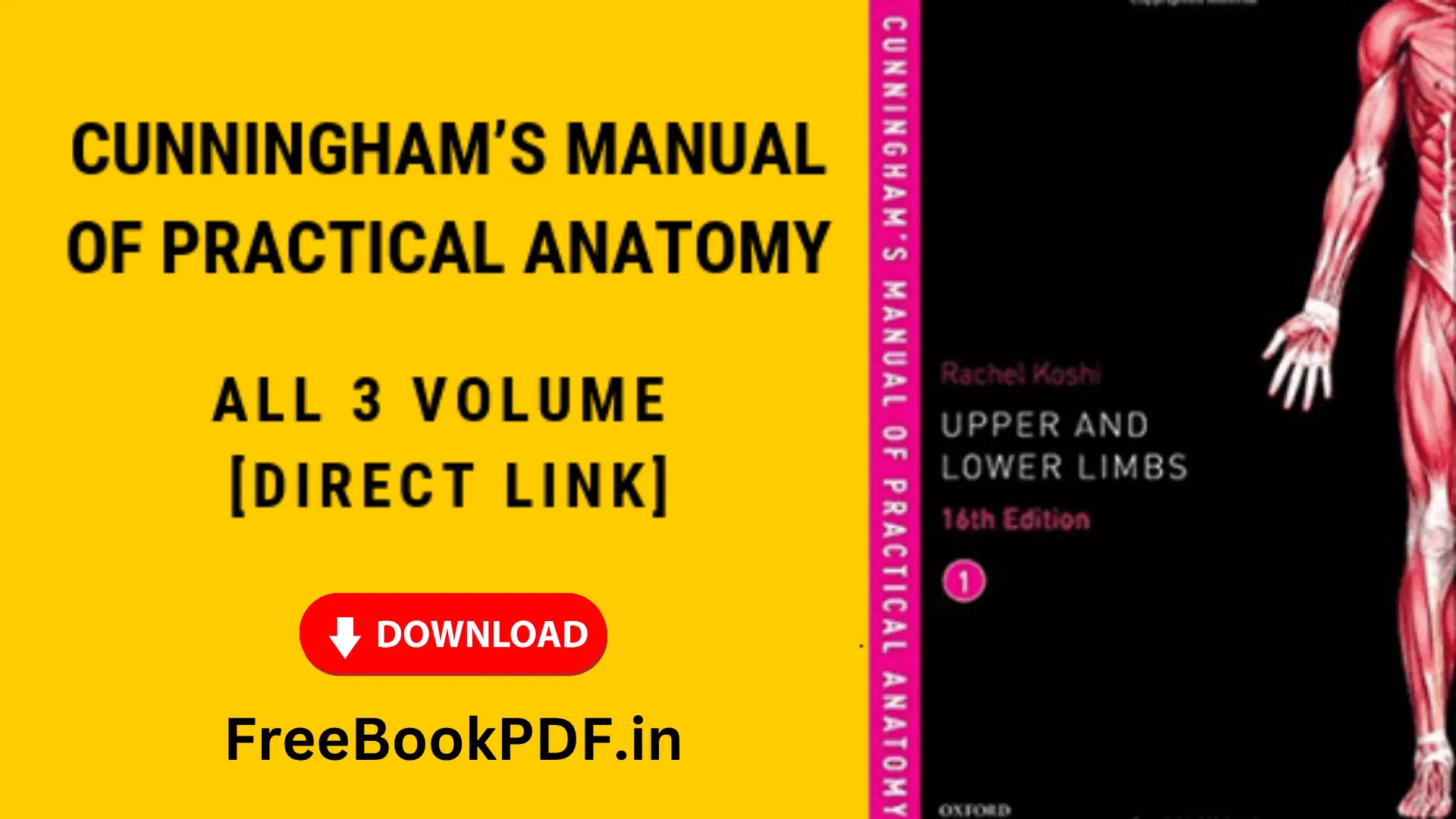 Cunningham’s Manual of Practical Anatomy PDF